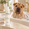 Plissé Cachemire – Bagno Delicato | 200 ml