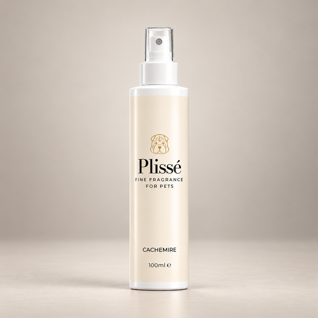 Plissé Cachemire – Spray Profumato per Cani | 100 ml