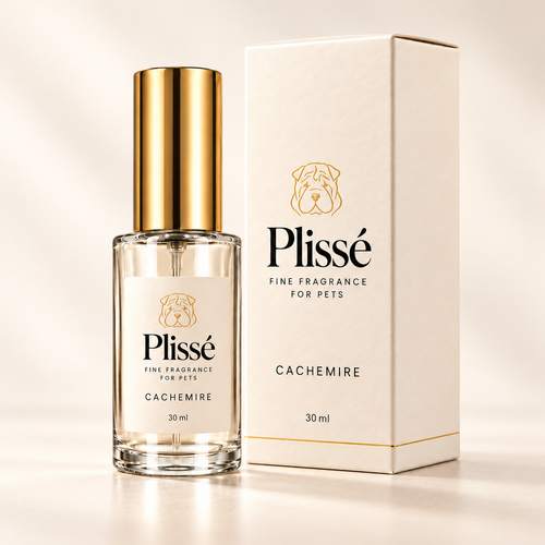 Plissé Cachemire