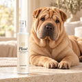 Plissé Cachemire – Spray Profumato per Cani | 100 ml