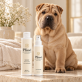 Kit Plissé Cachemire – Bagno Delicato &amp; Spray Profumato